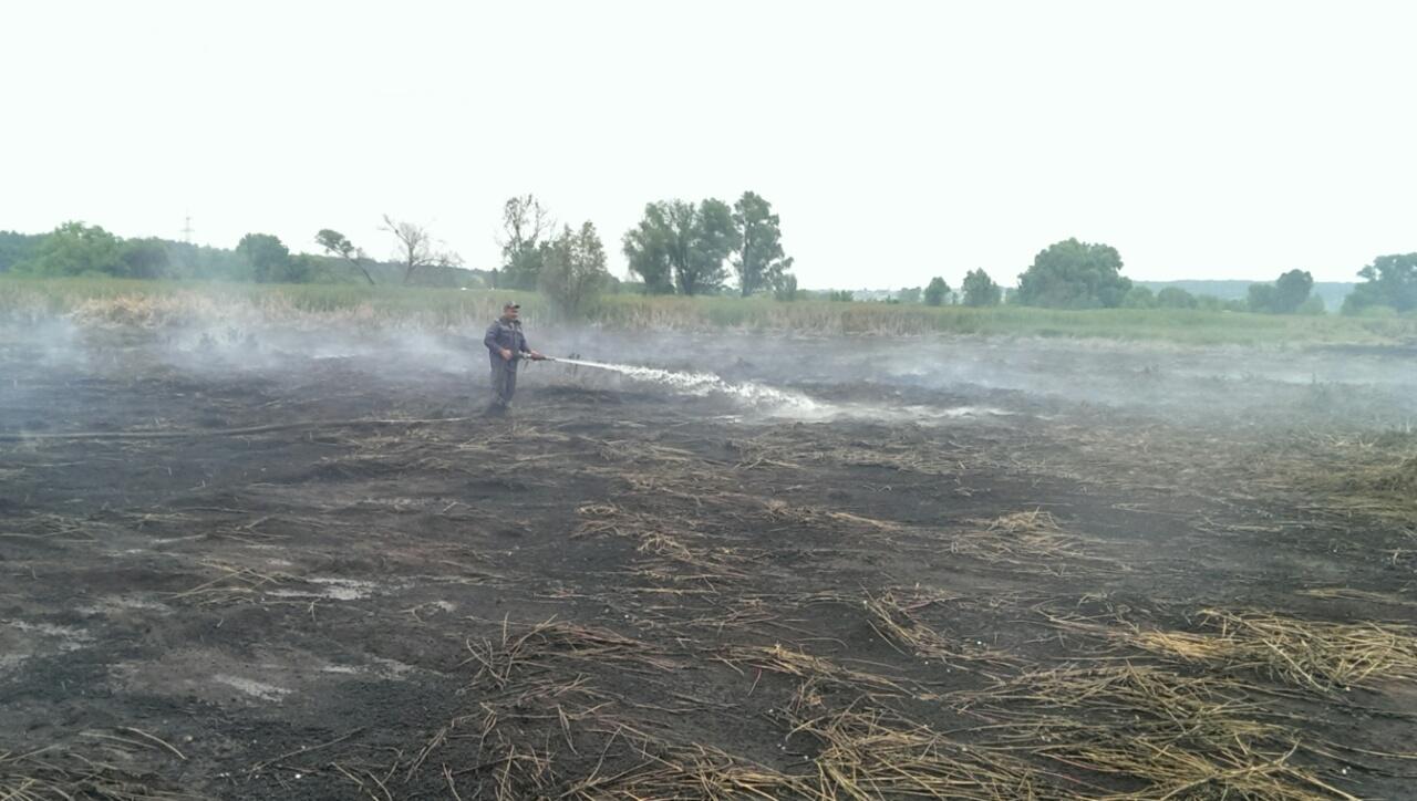 В Голосеевском районе ухудшилось состояние воздуха из-за горения торфяников