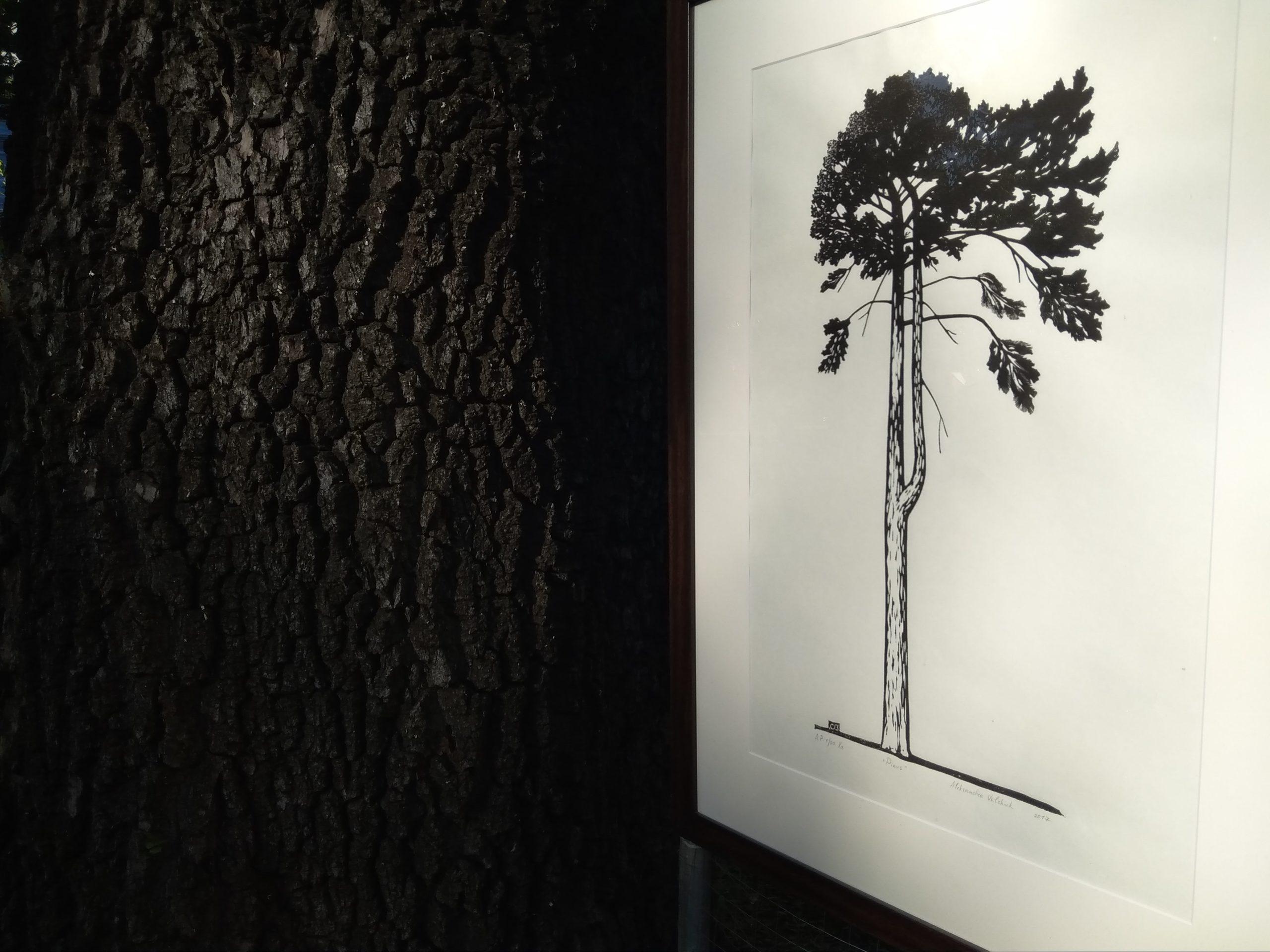 “Сад гравюр” и обмен принтами: В Gallery 83 открываются сразу два проекта