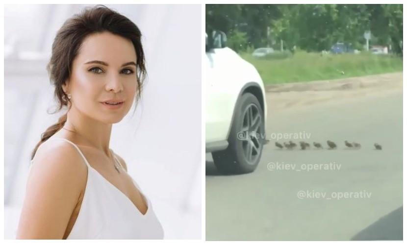 Автівка переїхала каченят: в скандал потрапила спортсменка Лілія Подкопаєва (ВІДЕО)
