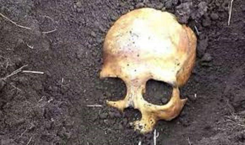 На Дорогожичах робітники випадково відкопали людські рештки