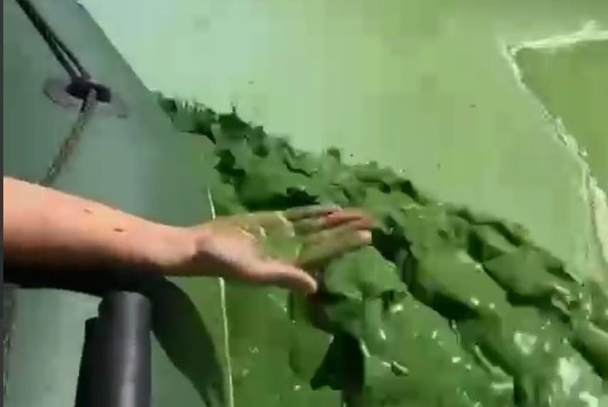 Дніпро помирає: на відео показали жахливий стан річки