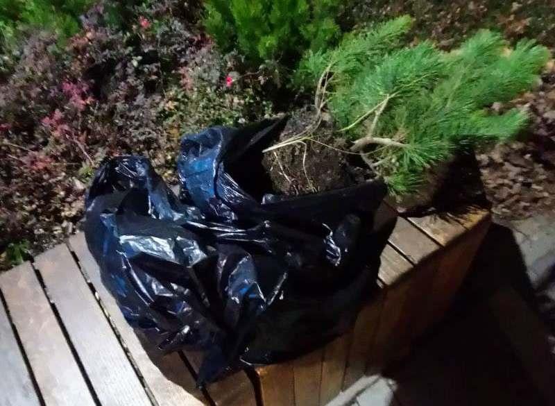 В парку Партизанської Слави піймали двох жіночок, які знищували клумби (ФОТО)