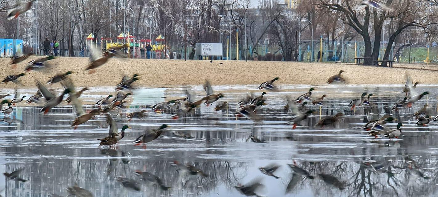 осінь, Зима, погода