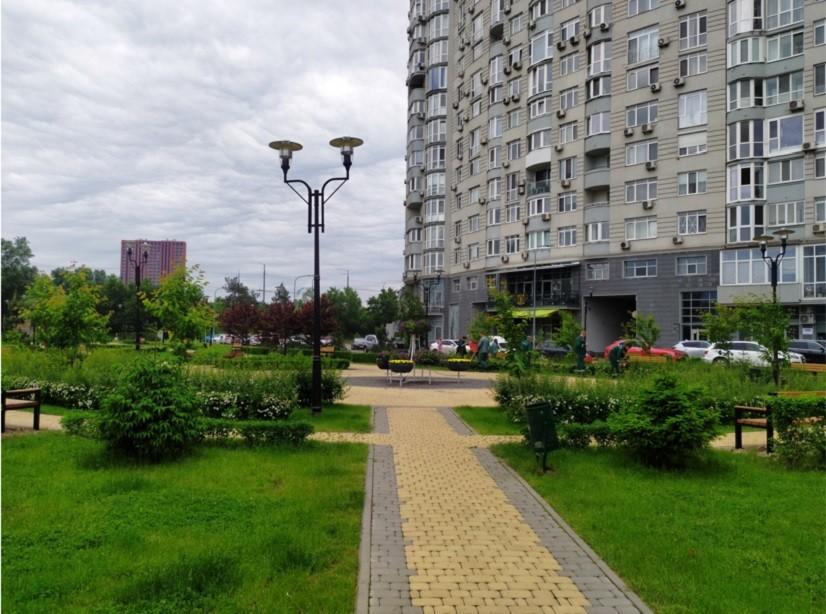 Висадили дерева та поставили лави: У сквері “Сад каменів” провели поточний ремонт