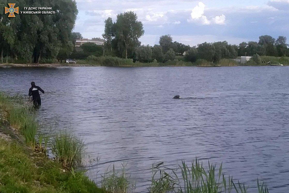 Трагедія на Київщині: під час купання в озері загинув підліток