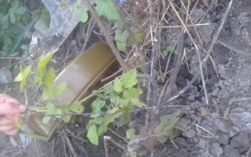 У лісі поблизу Здвижівки знайшли міну під грибом