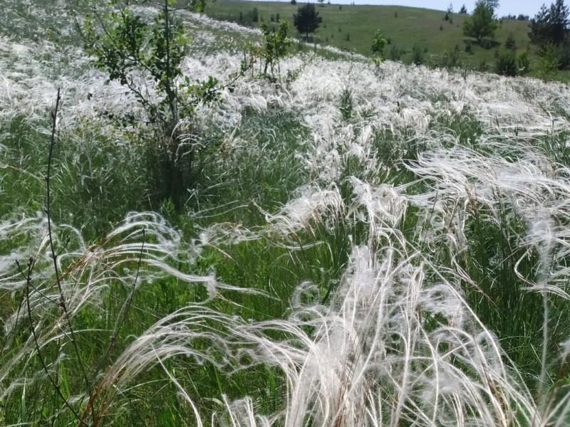 У Києві збільшиться кількість заповідників на території міста