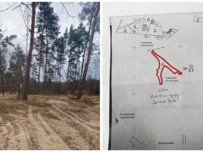 Прокуратура порушила кримінальну справу щодо незаконної забудови в «Урочищі Ярове»