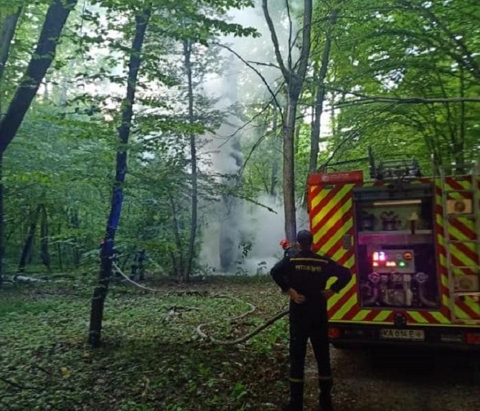 Палії намагаються влаштувати масштабну пожежу у Нацпарку “Голосіївський” – подробиці