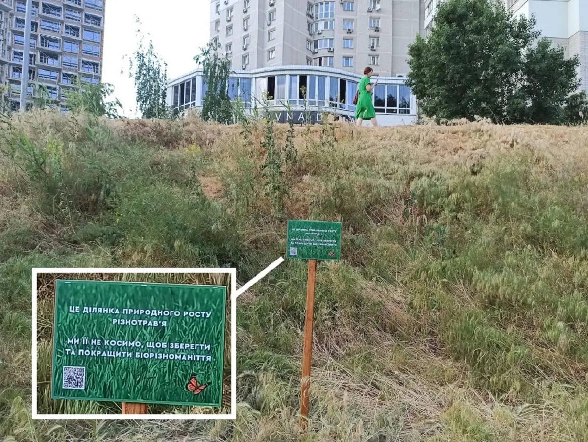 Експеримент з декоративними луками: у Києві викосили ділянку з різнотрав’ям (ОНОВЛЕНО)