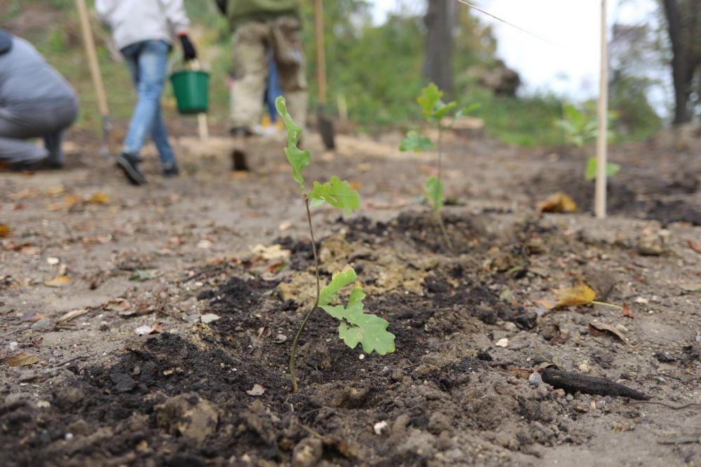 На Чернігівщині з’явився найбільший насіннєвий центр потужністю 10 млн сіянців на рік
