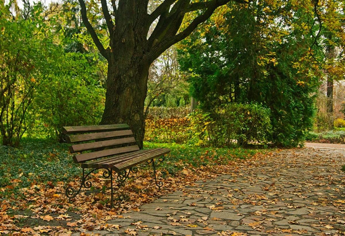 У Києві можуть з’явитися парки “Гірка Крістера” та Михайла Реуцького – де їх шукати