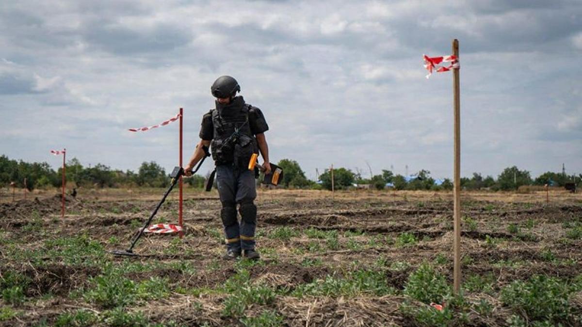 На Київщині триває розмінування: найбільш небезпечні райони – ДСНС