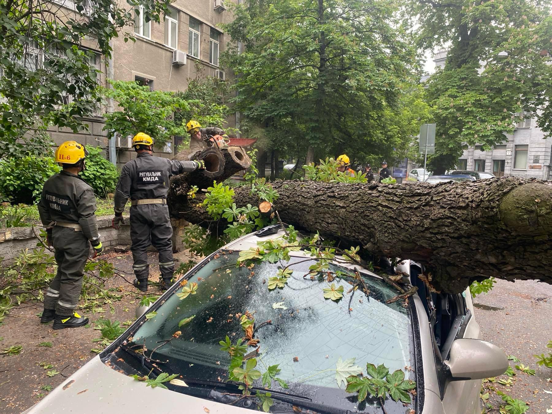 У Печерському районі дерево впало на автівку і заблокувало дорогу