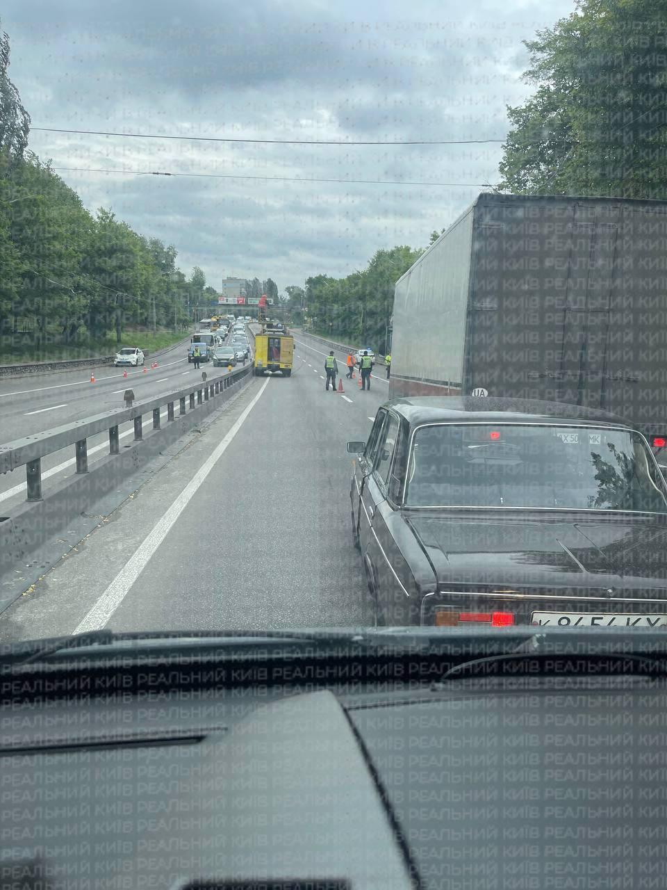 Повалене дерево пошкодило контактну мережу на вулиці Теліги – тролейбуси затримуються