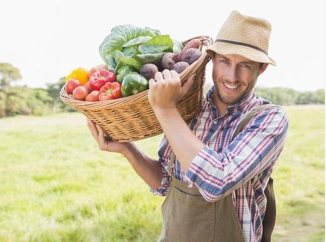 Органічну продукцію в Україні маркуватимуть, як в ЄС: де шукати якісне