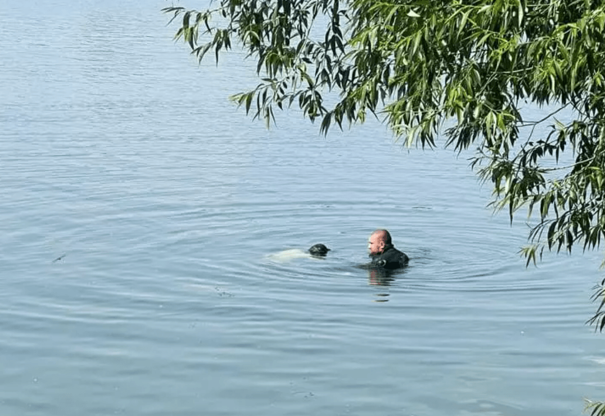 На озері Алмазному під час відпочинку потонув чоловік