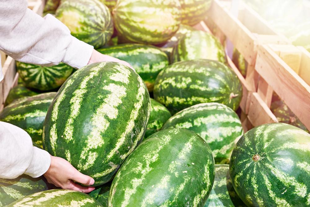 Де у Києві сьогодні проходять продовольчі ярмарки: локації