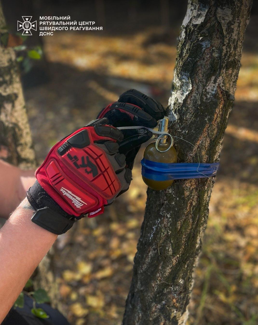 На Київщині знешкодили гранату, встановлену на розтяжці в лісі