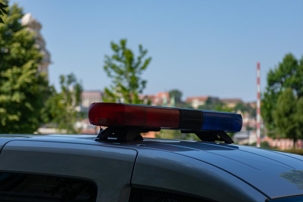 У Білій Церкві підлітки знущалися над їжаком: їх розшукує поліція