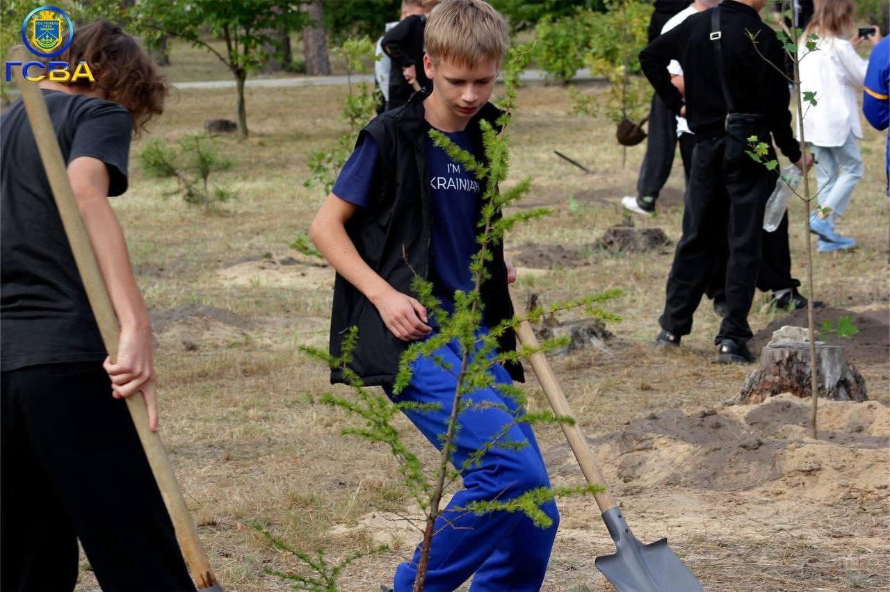 Ліцеїсти висадили понад 60 дерев у гостомельському парку