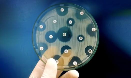 Чому не можна лікувати антибіотиками грип, ГРВІ та COVID-19