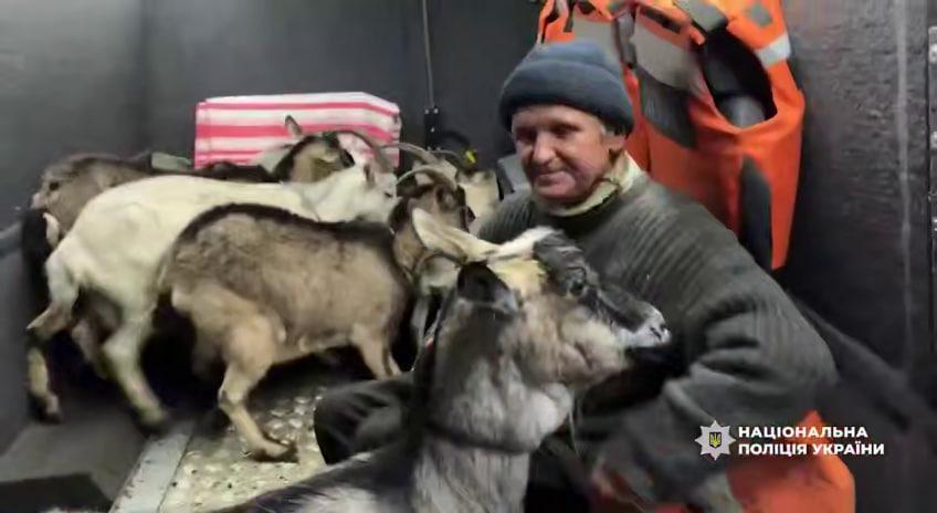 З-під обстрілів на Сумщині евакуювали чоловіка і його 11 кіз