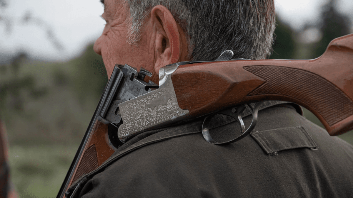 На Київщині дозволили відстрілювати хижаків для боротьби зі сказом