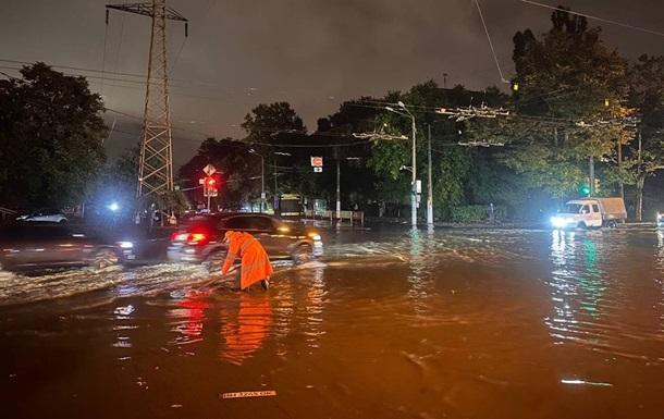 Негода в Одесі: затопило два притулки для тварин, котів та собак евакуювали