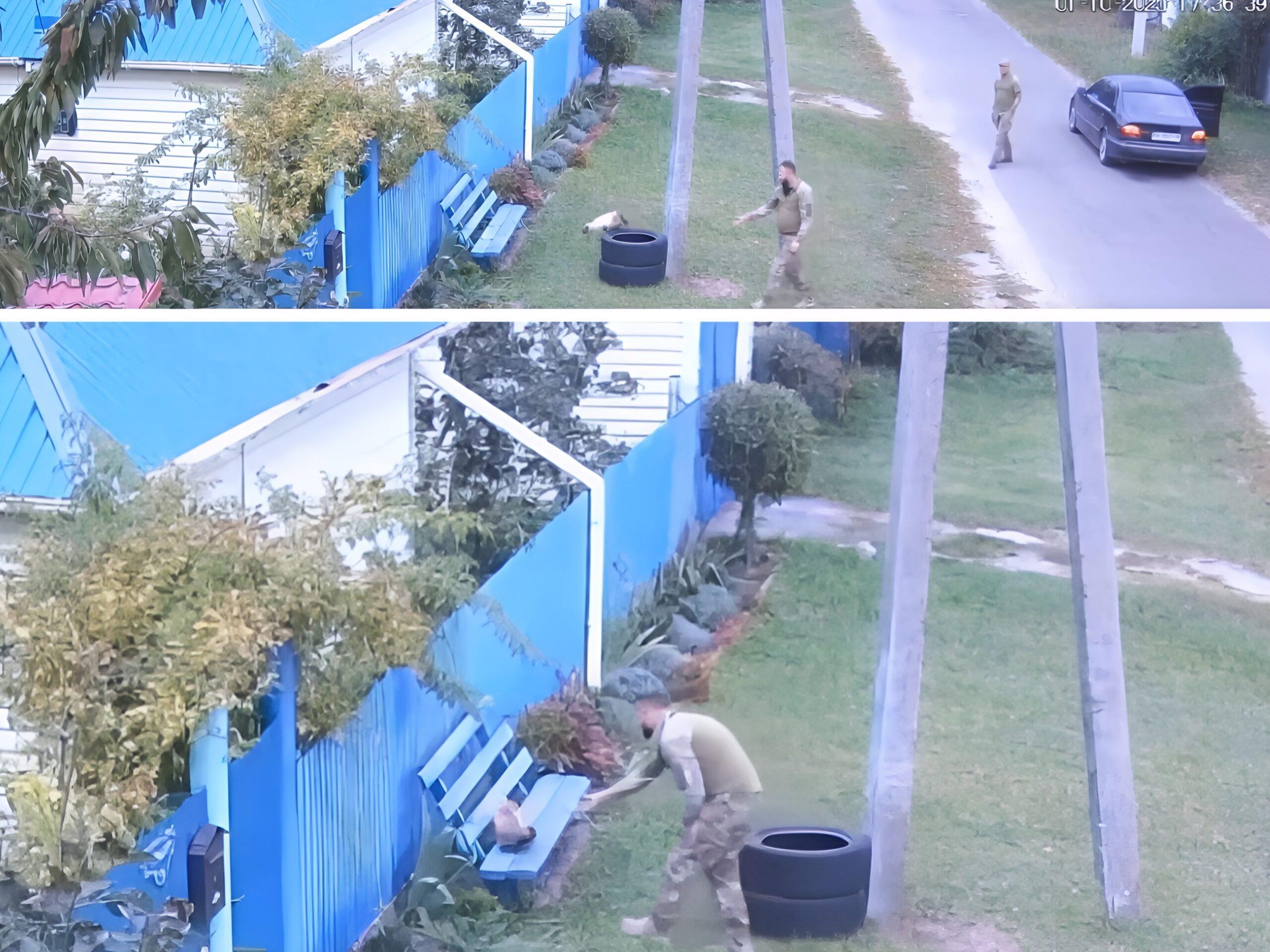 З поверненням: власники “мобілізованого” кота нарешті отримали свого улюбленця назад