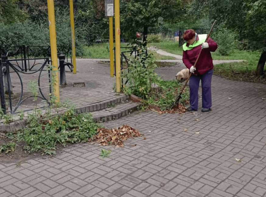 У столиці триває місячник з благоустрою: як змінилося місто за минулий тиждень