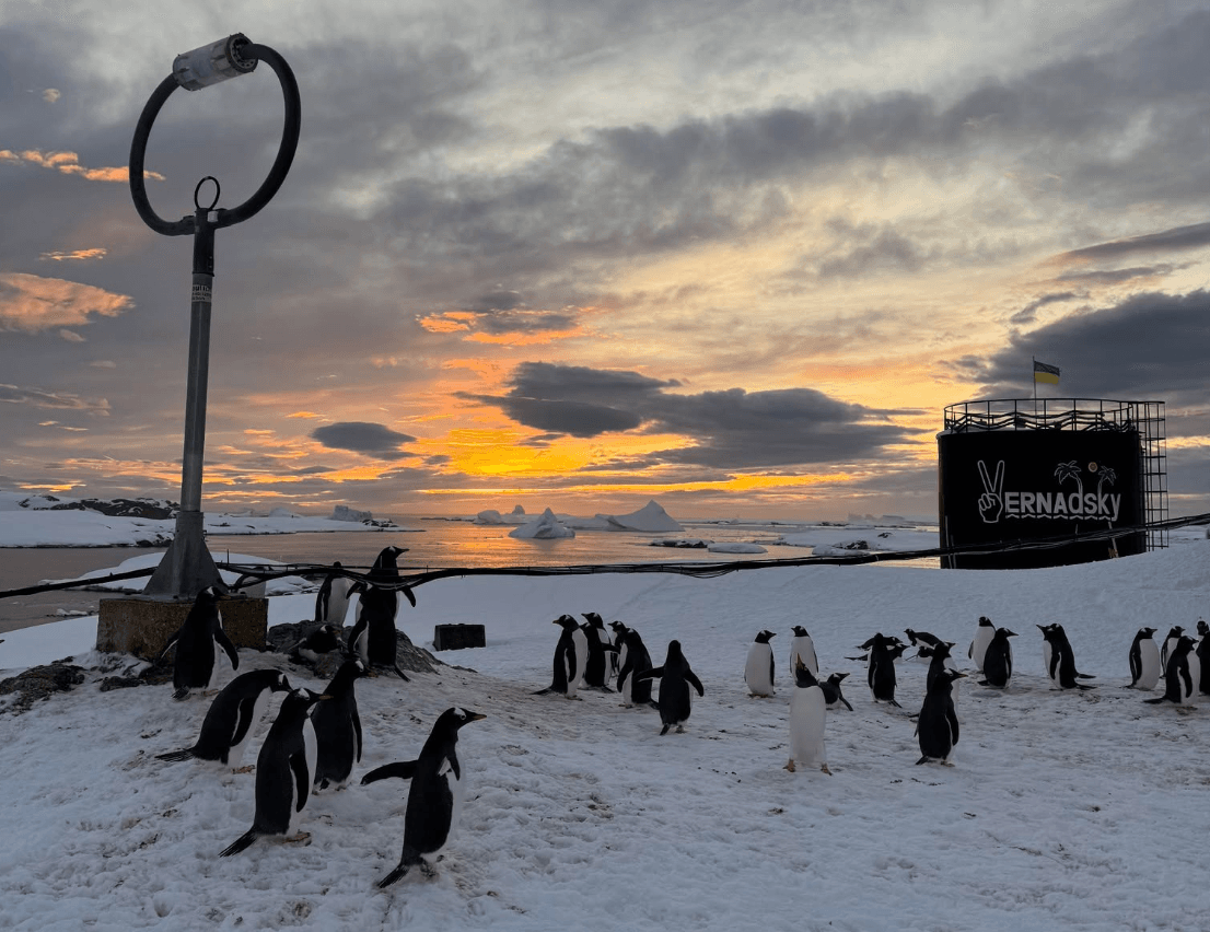 Українських полярників оточили тисячі пінгвінів: неймовірні фото