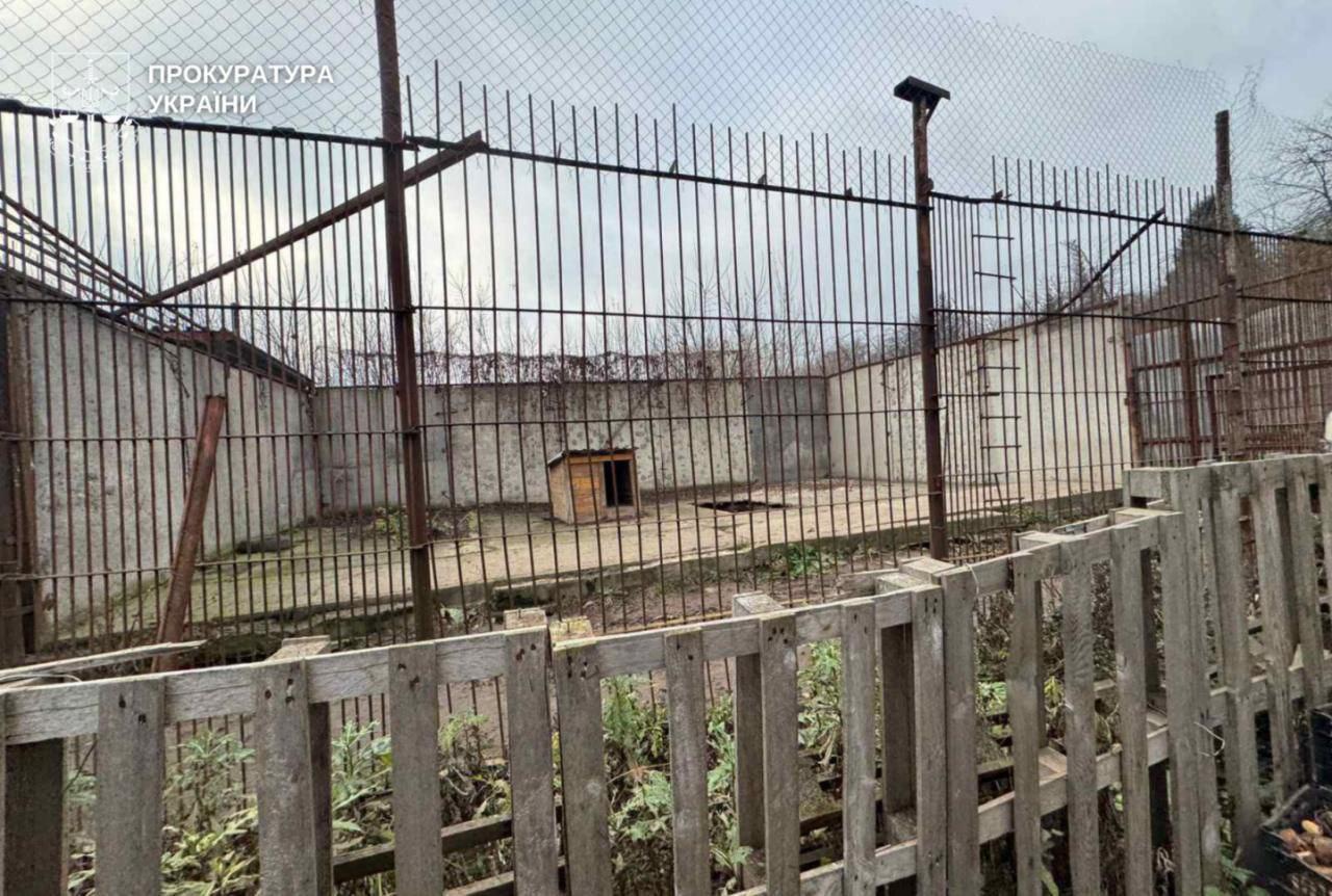 У Хмельницькому шукають левицю-втікачку