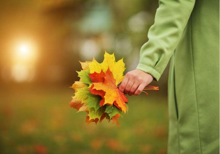 Обмеження швидкості та відстрочки від війська: що змінилося в житті українців з 1 листопада