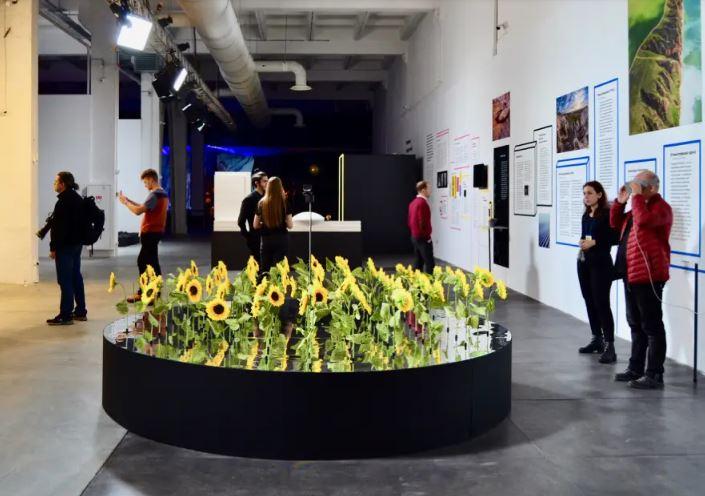 Виставки, які варто побачити у Києві в останні дні осені