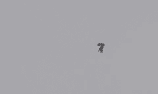 Німецька поліція шукала «НЛО» після вибуху на кордоні з Чехією — пошуки припинено