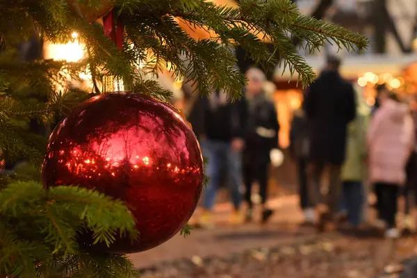 У ботсаду Гришка пройде благодійний ярмарок «Світло Різдва»