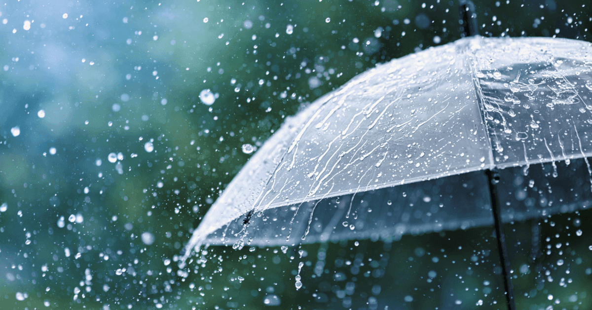 Дощовий понеділок: Київ і область зустрінуть 9 грудня під хмарним небом