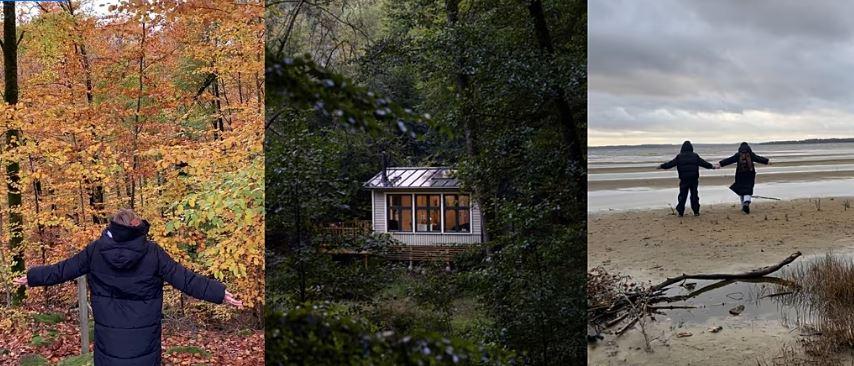 Швеція пропонує безкоштовне проживання у лісовій хатині, є лише одна умова