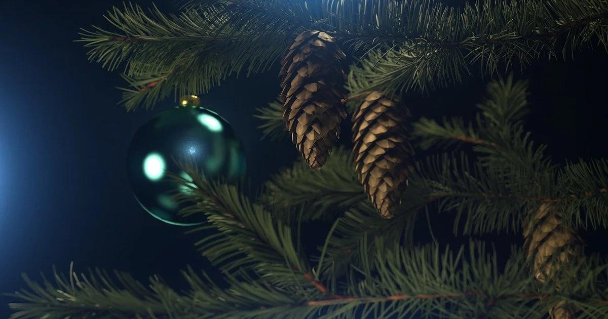 Українців попередили про штрафи за незаконну вирубку ялинок — Мін’юст