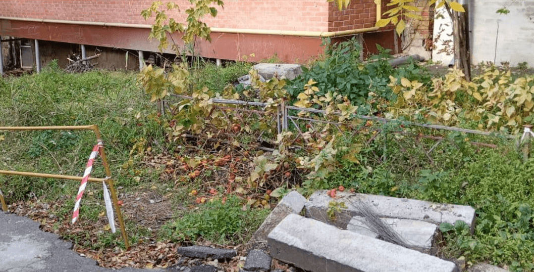 Прибрали звалища та ліквідували розриття: як змінився благоустрій Києва за тиждень