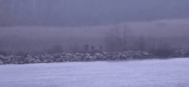 Російські прикордонники ненадовго зайшли на територію Естонії — Bloomberg