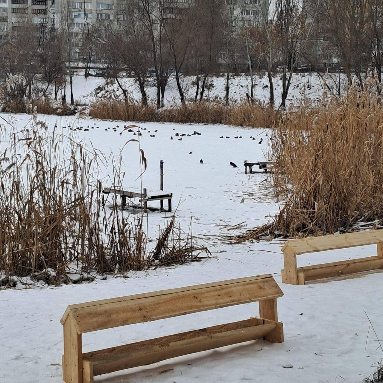 “Качки для качок” – у міському фітнес-парку “Озеро Лебедине” встановили годівниці для птахів