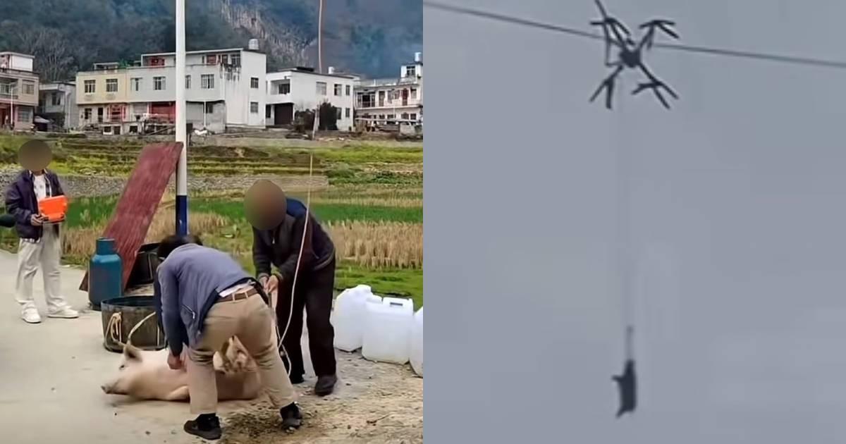 Свиня на дроні спричинила 10-годинний блекаут у китайському селі