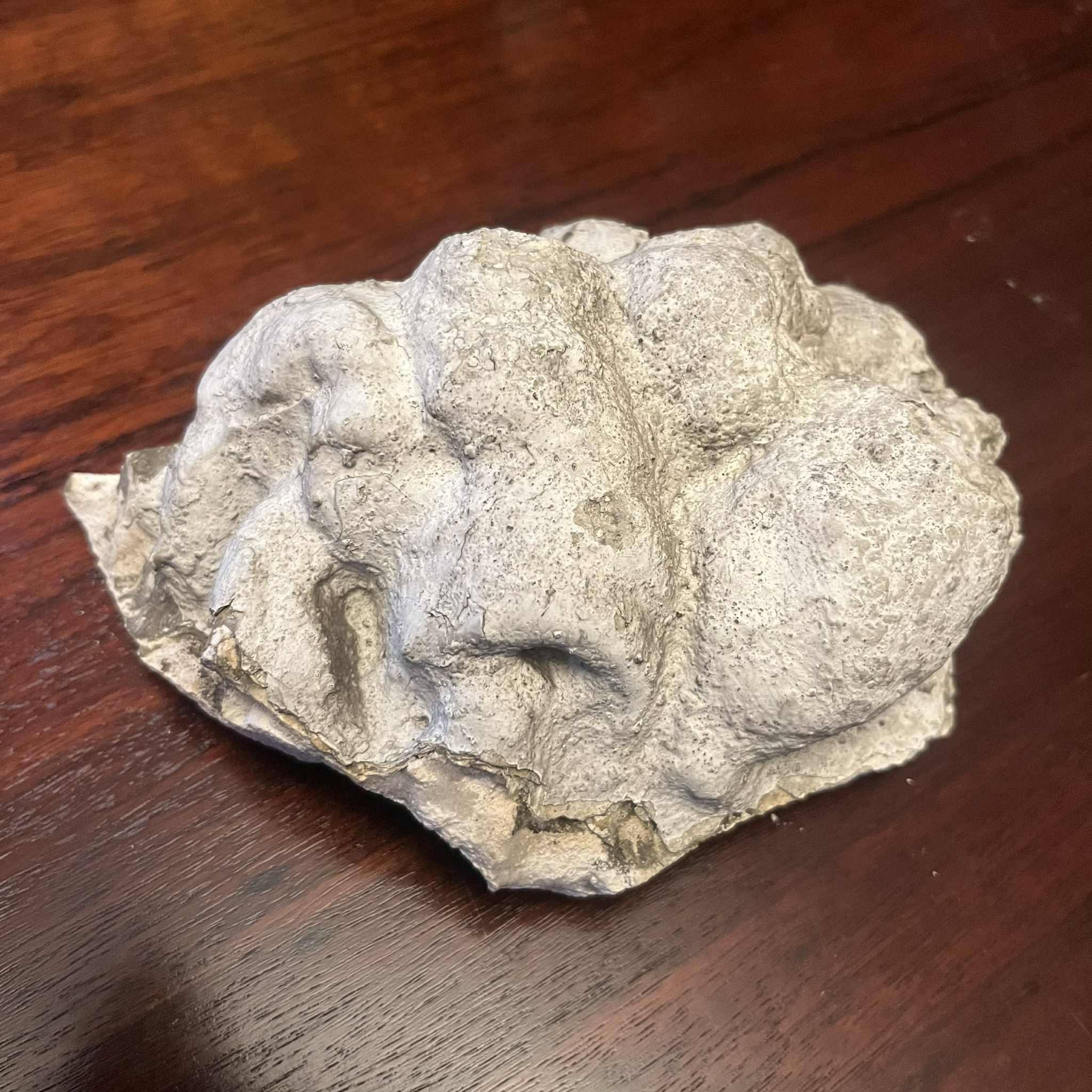 У Києві демонтували останнє погруддя Пушкіна на фасаді будинку