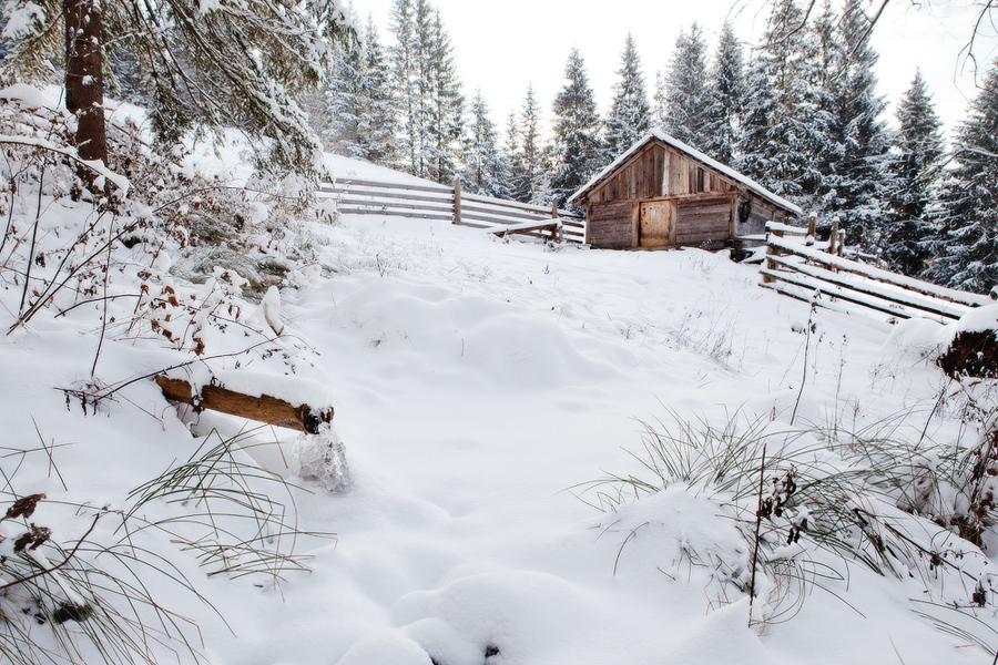 Скульптури митців та світ тварин: де погуляти під Києвом