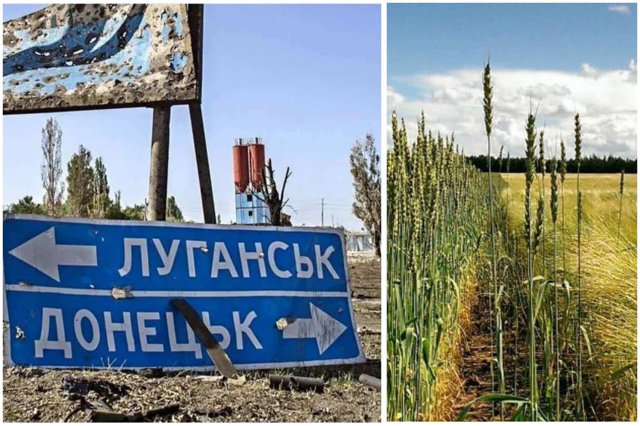 Окупанти масово викрадають паї в українців на Луганщині