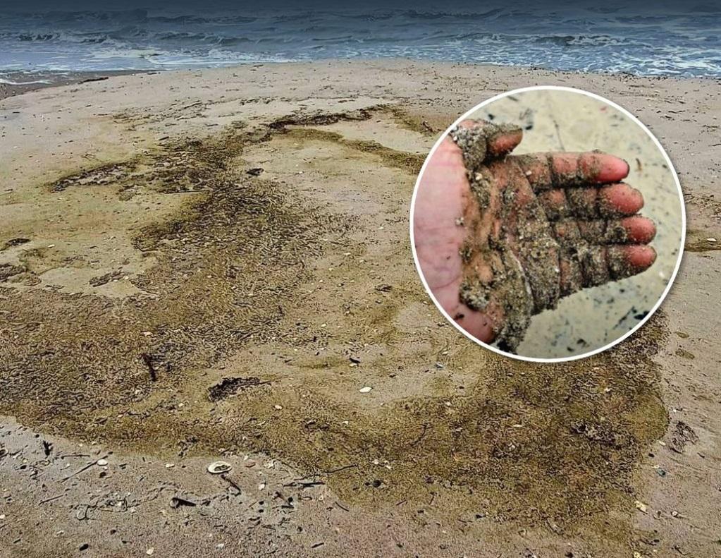 Російські обстріли призвели до забруднення нацпарку «Тузловські лимани» в Чорному морі, гинуть краби