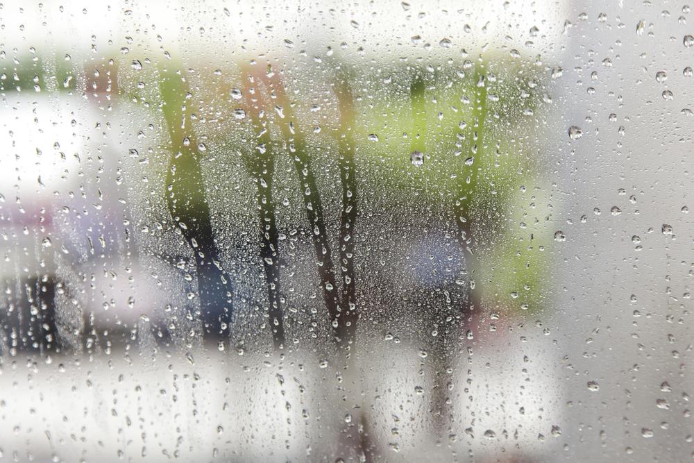 Беріть парасольку: у Києві прогнозують дощ