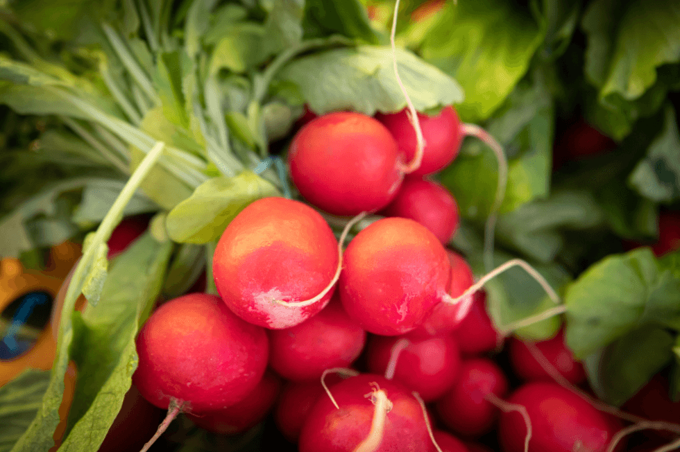 Де у Києві цього тижня проходитимуть продовольчі ярмарки: локації